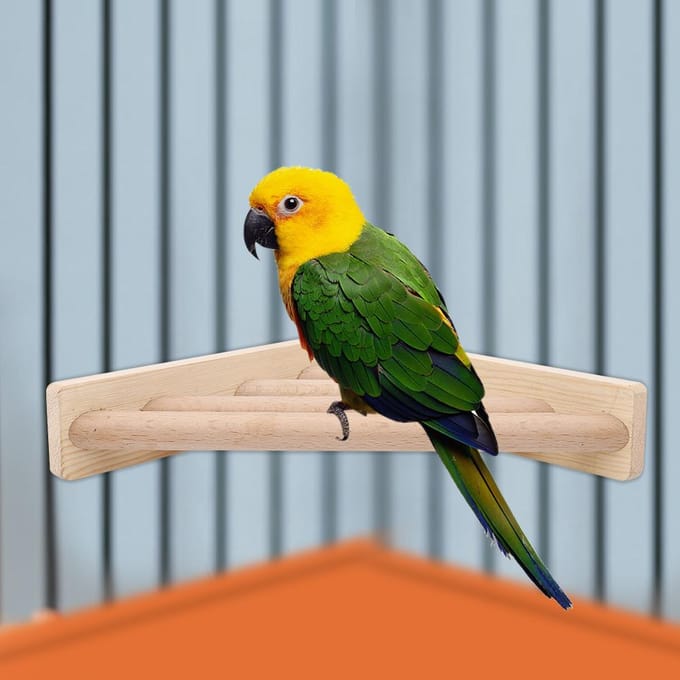 Support Perchoir de Haute Qualité pour Perroquet, Support en Bois pour Grimper, Jouet de Cage gray