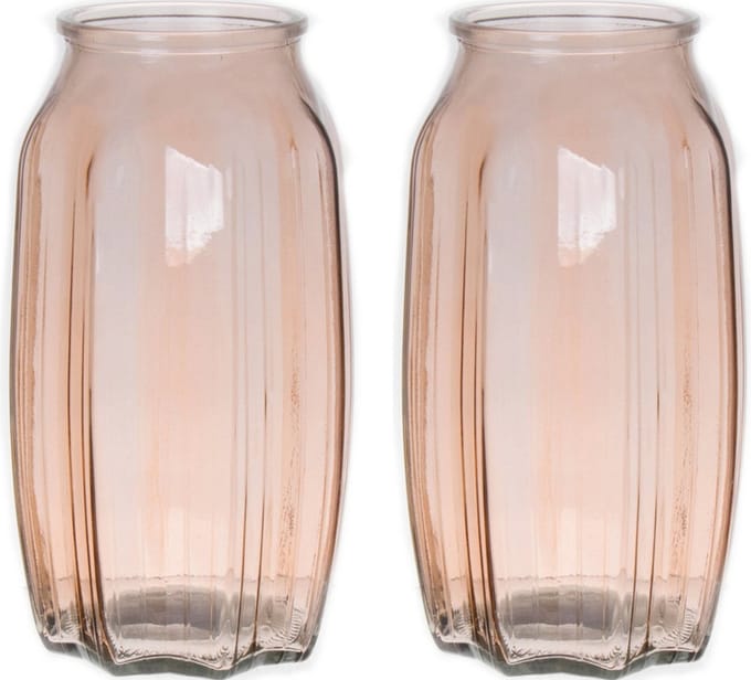 Bellatio Design Bloemenvaas - 2x - taupe/bruin - transparant glas - 12 x 22 cm - vaas