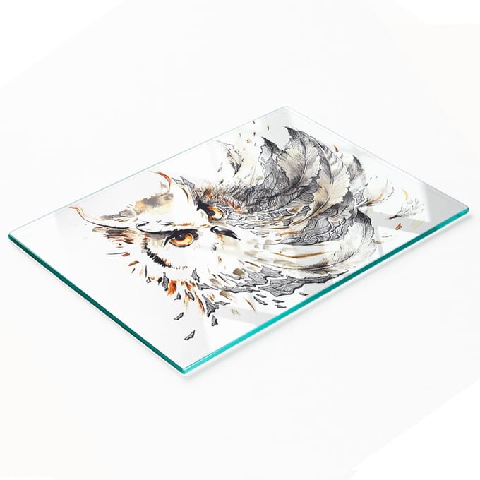 Glazen decoratieve plank met afbeelding van een uil voor het serveren van snacks, 80x52 cm