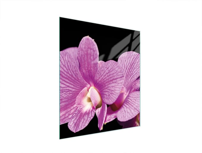 TMK ArtDeko - Serie - Glazen Snijplank - 45x52cm - Orchidee