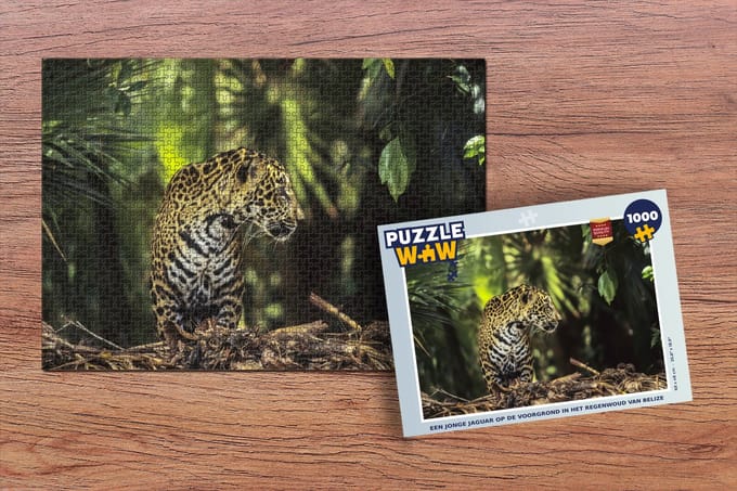 Puzzel Jaguar - Jungle - Natuur - Legpuzzel - Puzzel 1000 stukjes volwassenen
