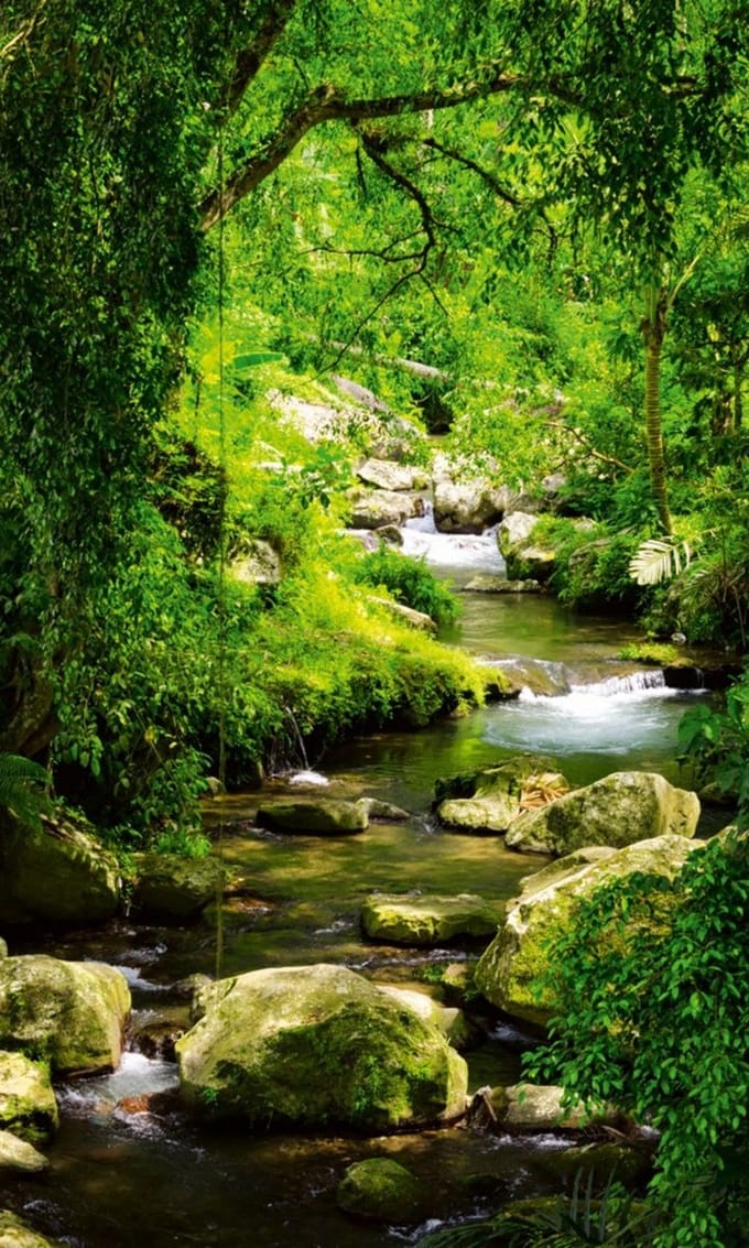 Fotobehang - Stream 150x250cm - Vliesbehang