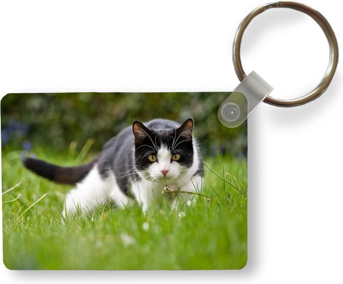 Sleutelhanger - Kat - Gras - Zwart - Wit - Meisjes - Kinderen - Jongens - Kids - Uitdeelcadeautjes - Plastic