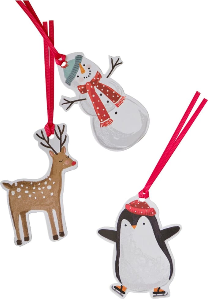 Ginger Ray - Novelty kerst cadeaulabels met lint - 9 stuks
