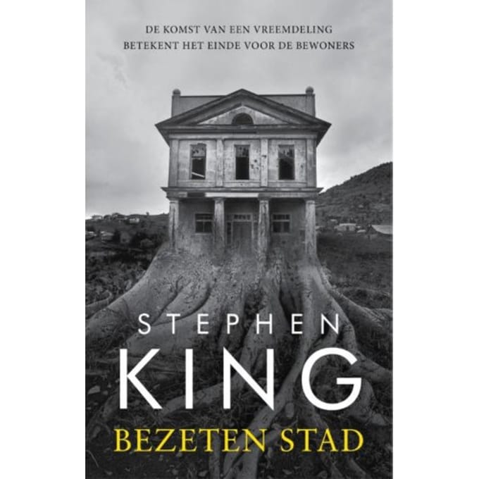 Bezeten Stad - Stephen King