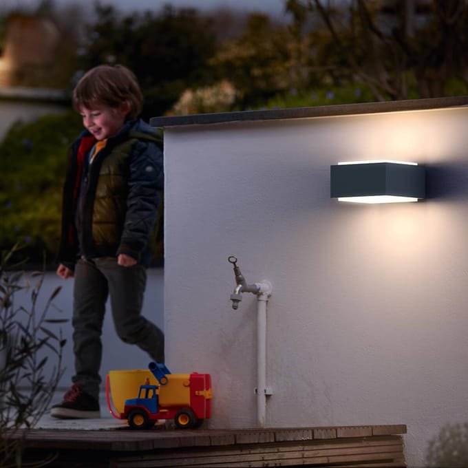 Philips LED Hedgehog 1733793PN Buitenlamp (wand) LED E27 42 W Antraciet