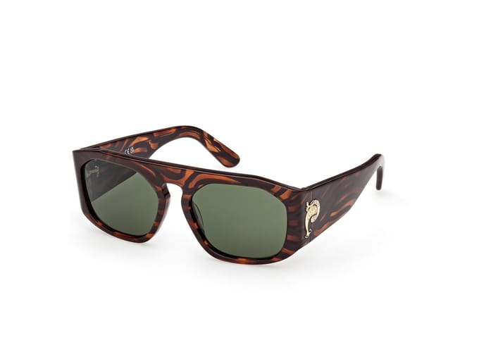 Pucci EP0242 Havana/striped 54/17/135 WOMAN Zonnebrillen