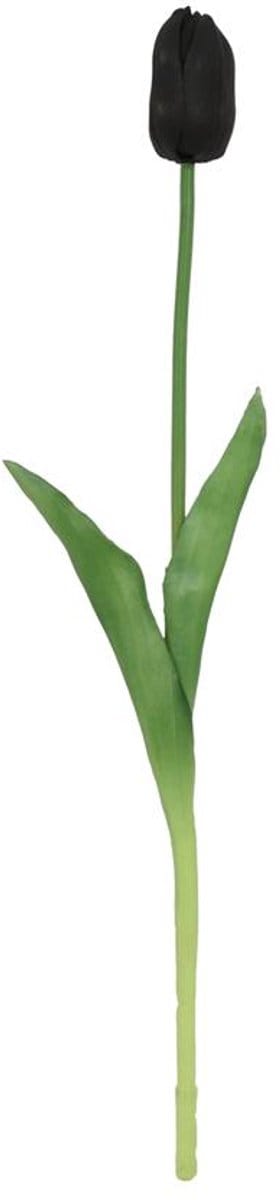 Kunstbloem tulp Zwart 10x10x47cm