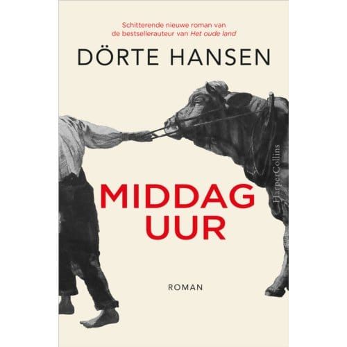 Middaguur - Dörte Hansen