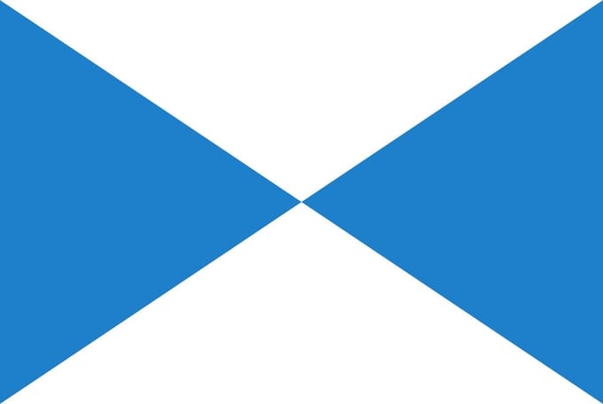 Vlag Halle 100x150cm