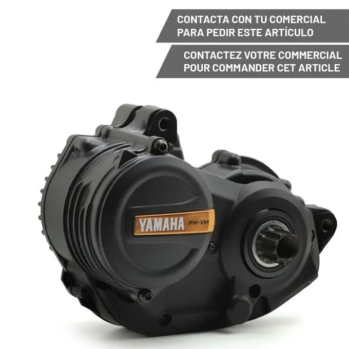 Motor Yamaha Pw-Xm
