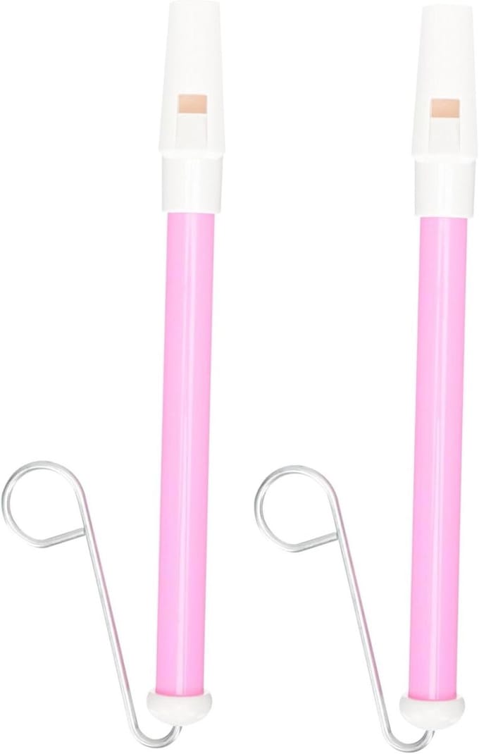 Schuiffluit Speelgoed - Muziekfluit - Muzikale Vaardigheden - Creatief Ontwikkelingsspeelgoed - 22.5 cm - Roze Wit