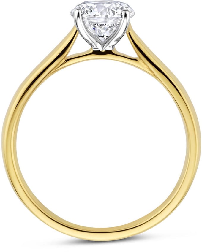 14K Bicolor Gouden Ring Lab Grown Diamant 1.00ct H SI – 4209114