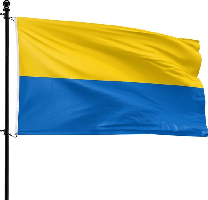 VlagDirect - Bodegraven-Reeuwijk vlag - Gemeente Bodegraven-Reeuwijk vlag - 90 x 150 cm.