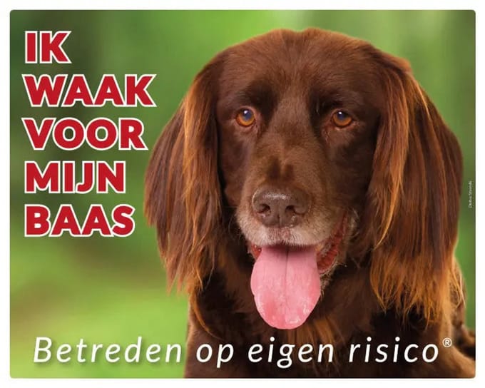 Duitse Staande Langhaar Waakbord