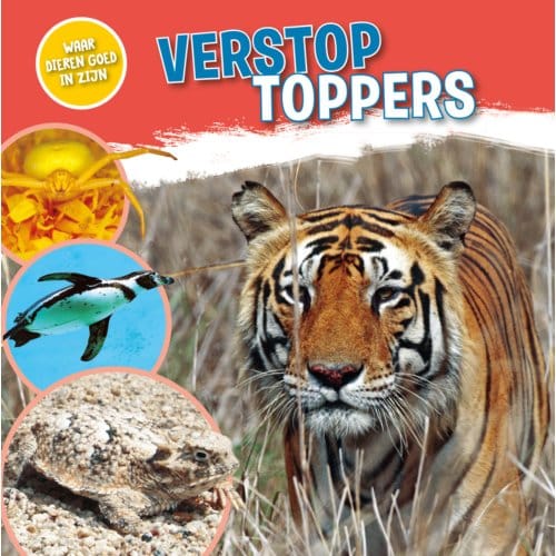 Verstoptoppers - Waar Dieren Goed In Zijn! - Nancy Dickmann