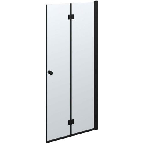 Dansani Match folding door 99 x 200 cm with clear glass B101-03