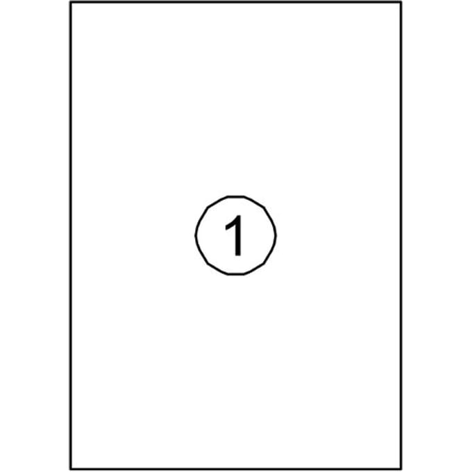 Etiket Quantore 210x297mm 100 stuks