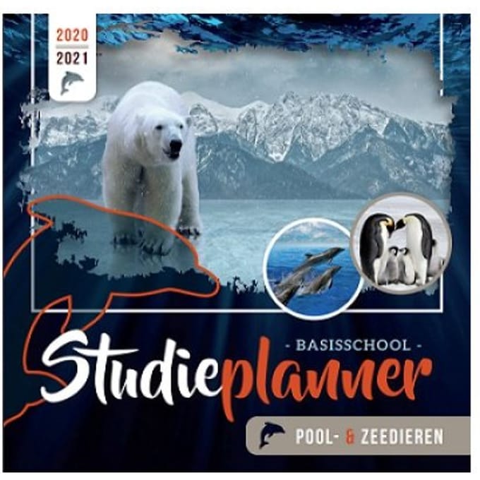Studieplanner / 2020-2021
