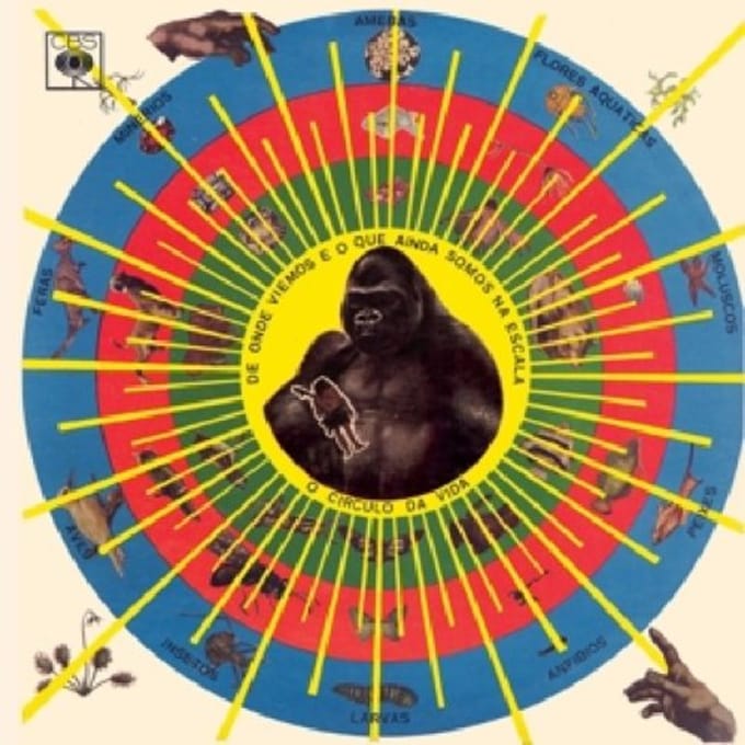 Krishnanda - Pedro Santos