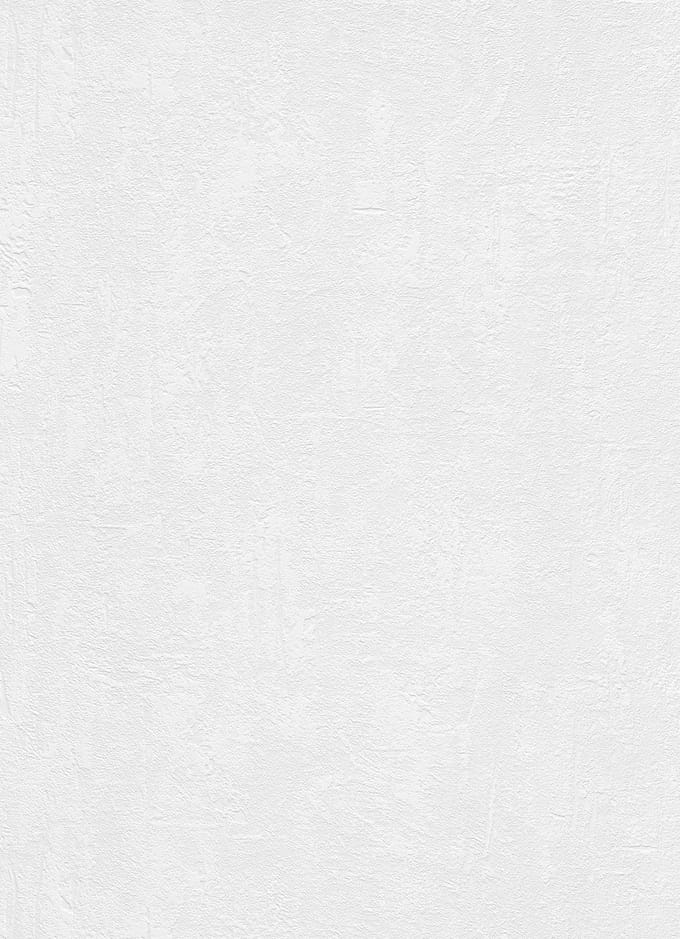 Erismann Vinylbehang 538101 - RollOver27 - Overschilderbaar Wit - 106cm x 25,00m