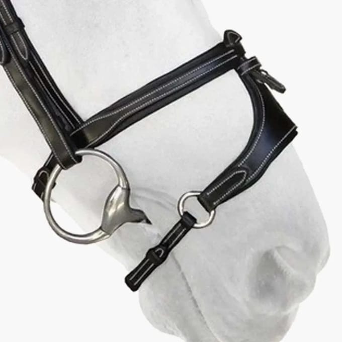 Paardenneusriem met x-neus ii Silver Crown