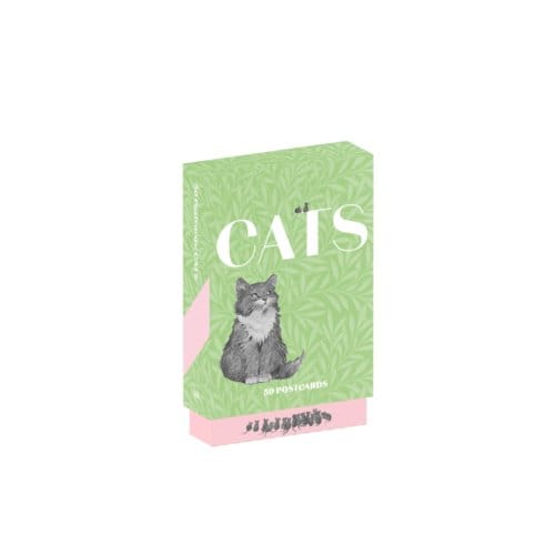 Cats