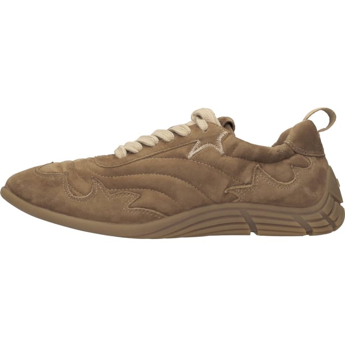 Ash Sneakers bruin