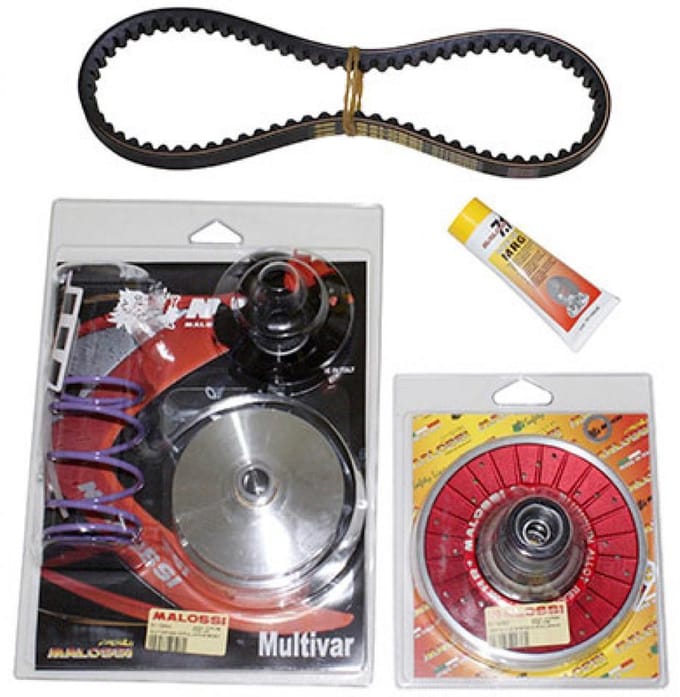Variateur Malossi pour Scooter Piaggio 50 Free 1995 à 1999 Neuf