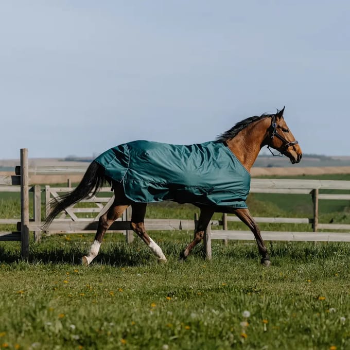 Outdoor paardendeken Equithème Tyrex 600D 50g