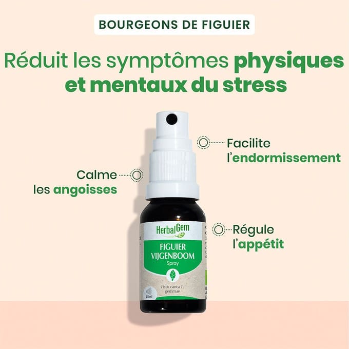 HerbalGem Vijgenboom Bio | Spijsvertering 15 Spray