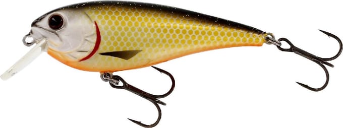 Westin RawBite Crankbait - Low Floating - Official Roach - 11cm - 26g - Plug - Geel