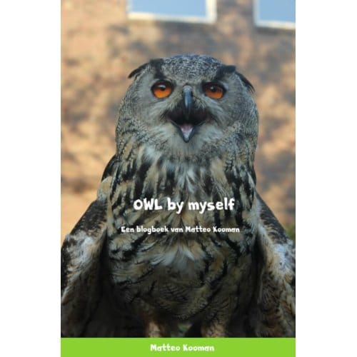 Owl By Myself - Matteo Kooman