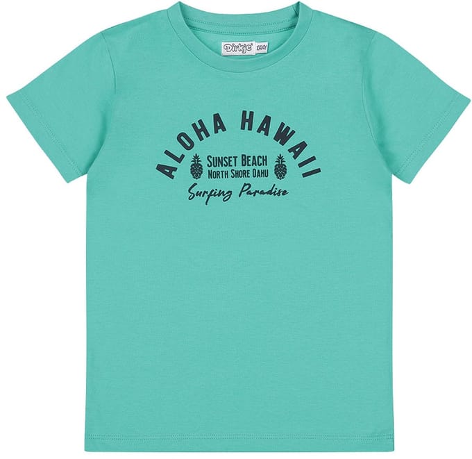 Dirkje Limited Edition T-shirt Aqua green