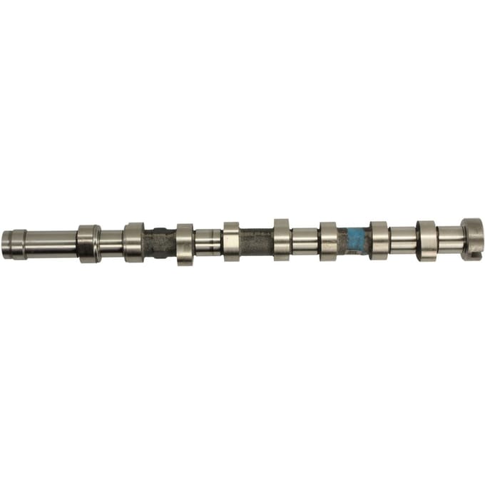 Nokkenas  AMC 647251