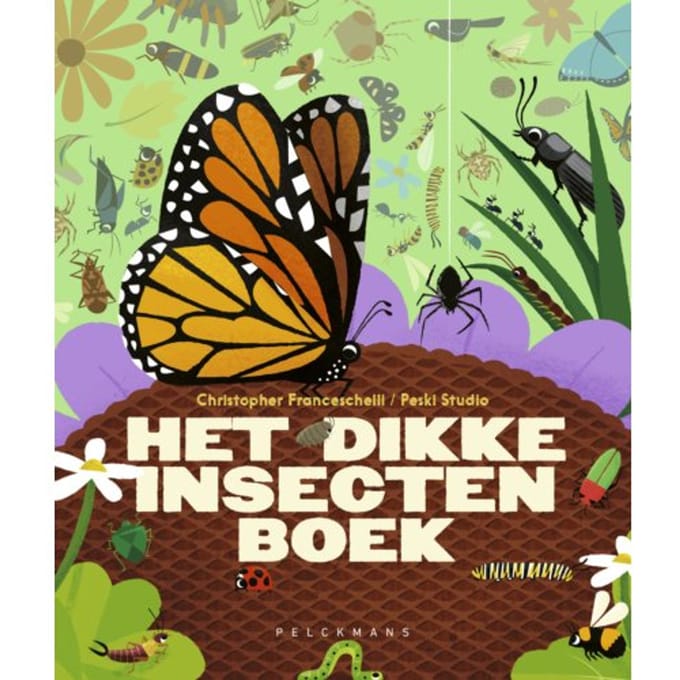 Het Dikke Insectenboek - Christopher Franceschelli