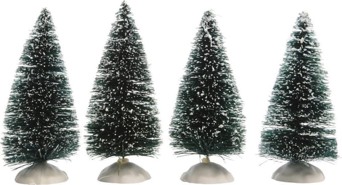 Denneboom 10 cm groen