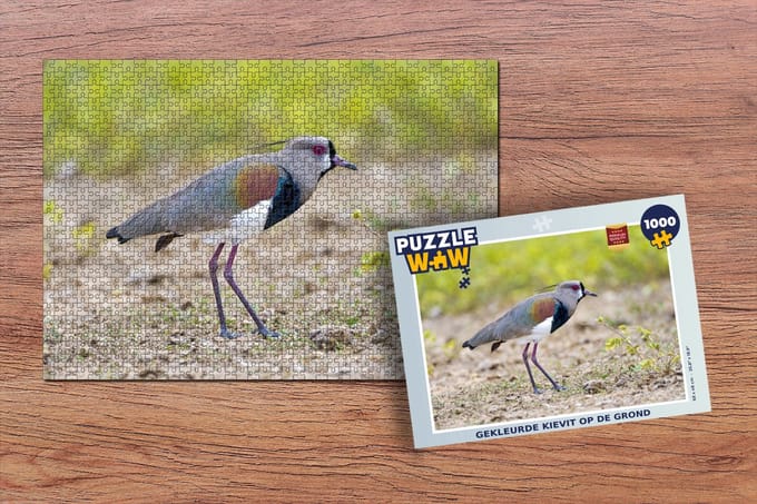Puzzel Gekleurde kievit op de grond - Legpuzzel - Puzzel 1000 stukjes volwassenen