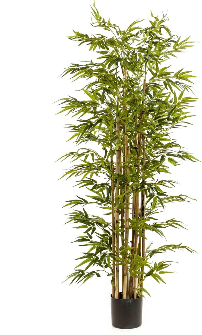 Emerald - Kunstplant Bamboe Deluxe 175cm - Kunstplant voor binnen