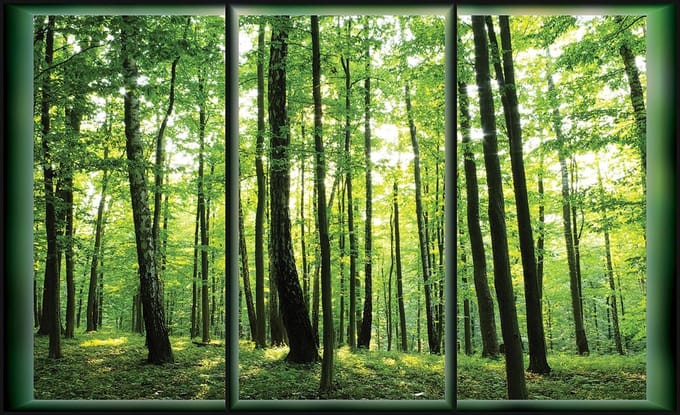 Poster | Groen | 104 x 70,5 cm