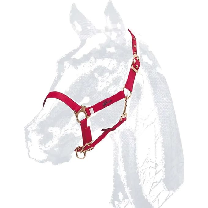 Halster voor paarden Zaldi Castecus