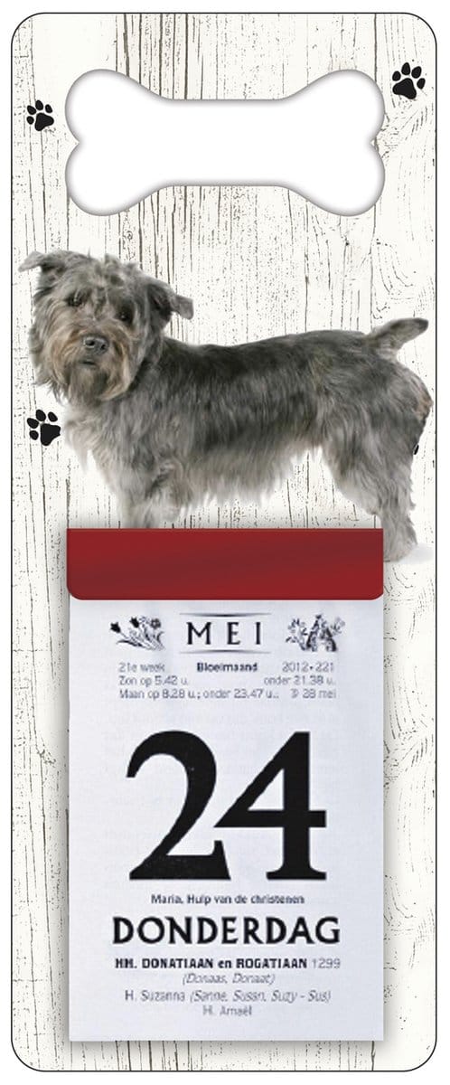 Scheurkalender 2027 Hond: Imaal Terrier