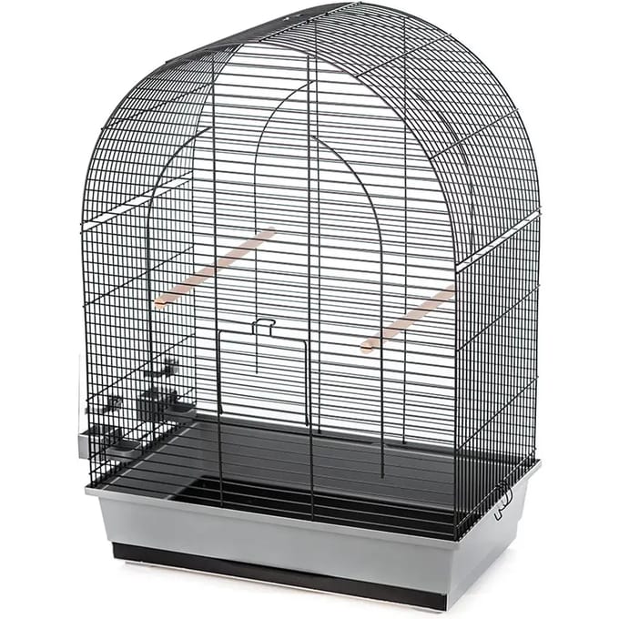 Vogelkooi Duvoplus Lusi 3