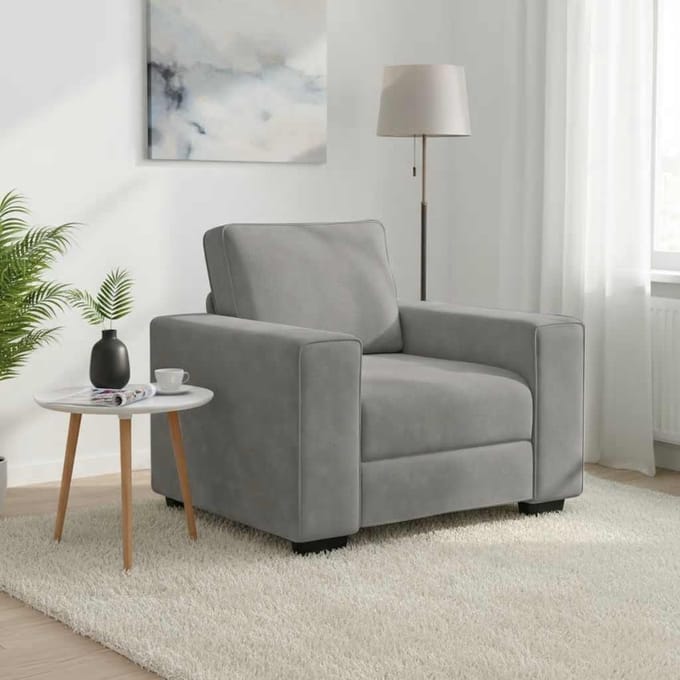 vidaXL - Fauteuil - 100x77x82 - cm - fluweel - lichtgrijs