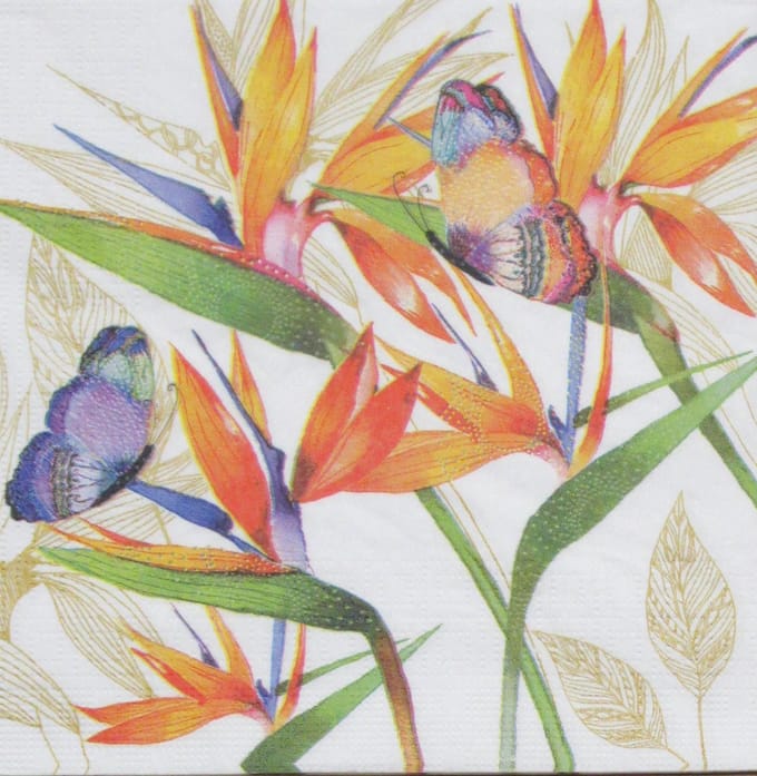Lunch servetten Parrot Flower - PPD - 33x33 cm