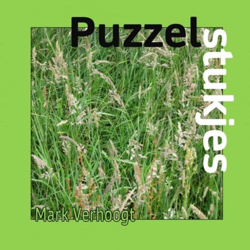 Puzzelstukjes - Mark Verhoogt