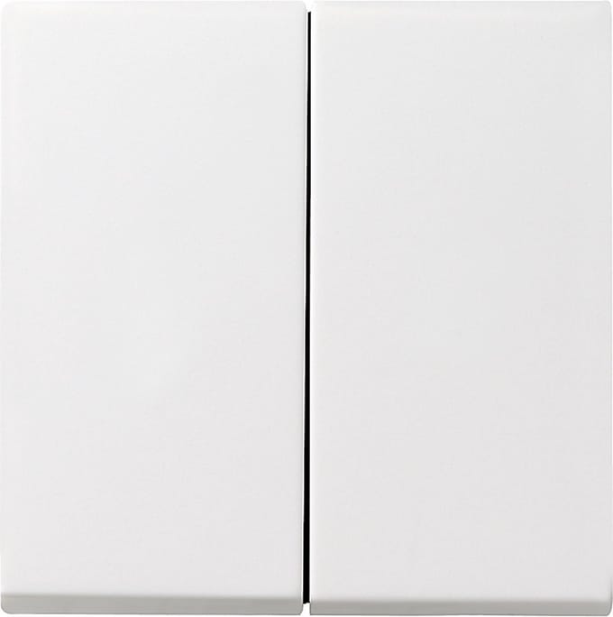 Gira Systeem 55 Besturingselement/Centrale plaat Schakelmateriaal - 029527 - E29DU