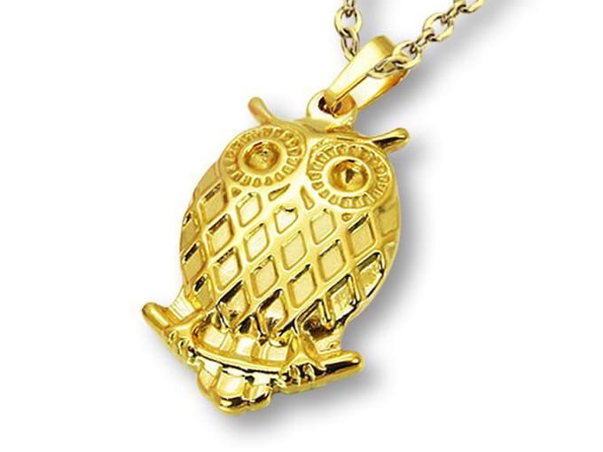 Amanto Ketting Dilah G - 316L Staal Goudkleur - Uil - 34x21mm - 50cm