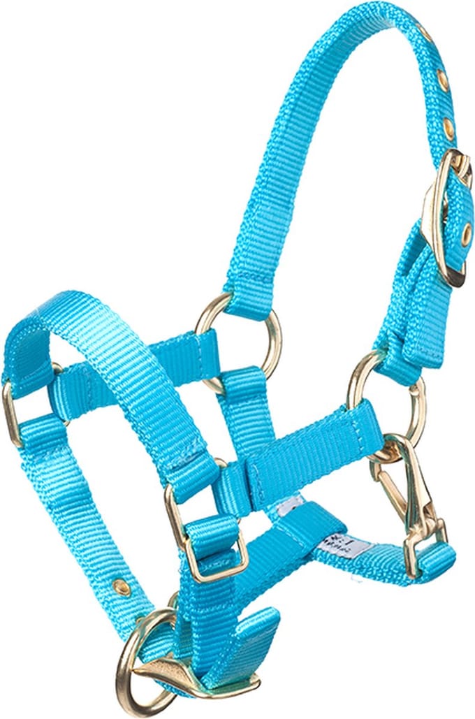 MHS Halster Fancy Aqua Jaarling