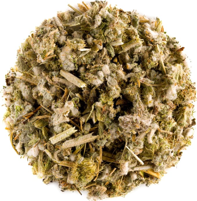 Malrove Blad Thee Kruid - White Horehound
